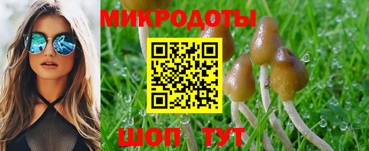 Ставрополь  Галлюциногенные грибы мицелий  Вход с VPN 